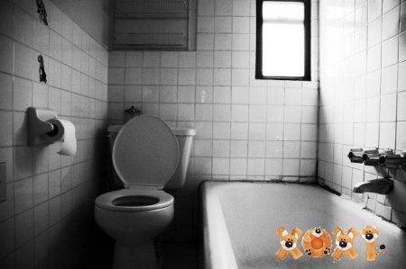 Интересные фото ванных комнат