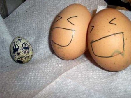 Живые яйца