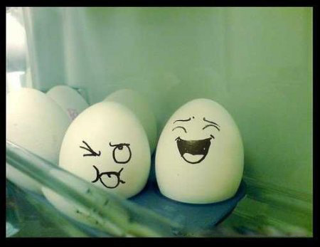 Живые яйца