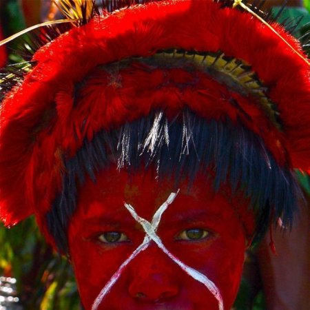 Жизнь современных папуасов