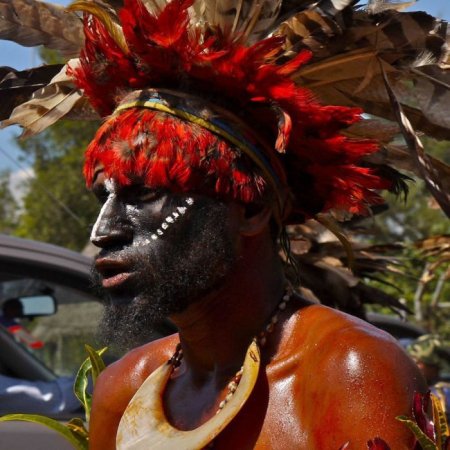 Жизнь современных папуасов