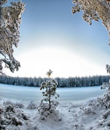 Неповторимые зимние пейзажи
