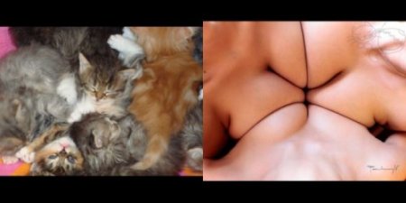 Коты и девушки