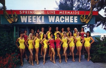 Настоящие русалки из Weeki Wachee Springs